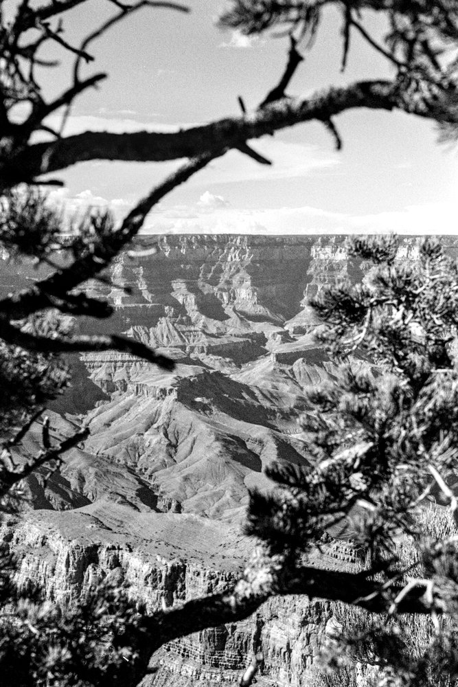 Grand Canyon 03